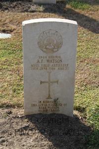 Ismailia War Memorial Cemetery - Watson, Albert Francis